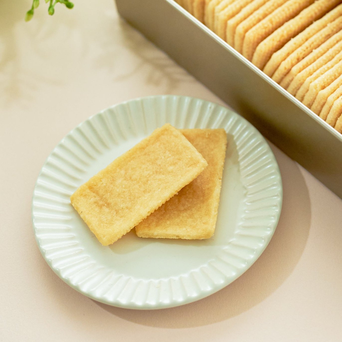 【数量限定】フィンガレット クラシック＆カカオ　50枚入り